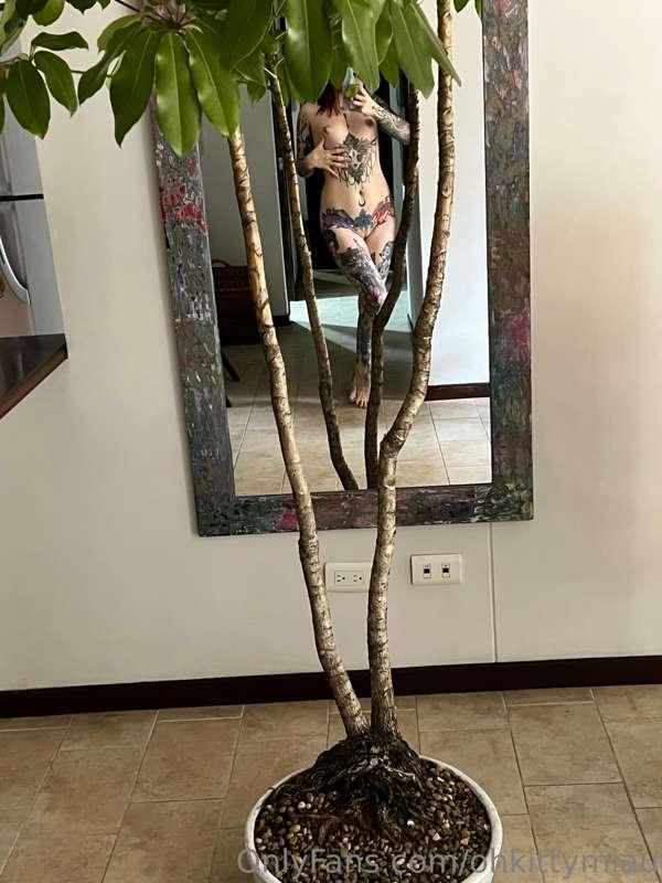 Photo in the Mirror 😺