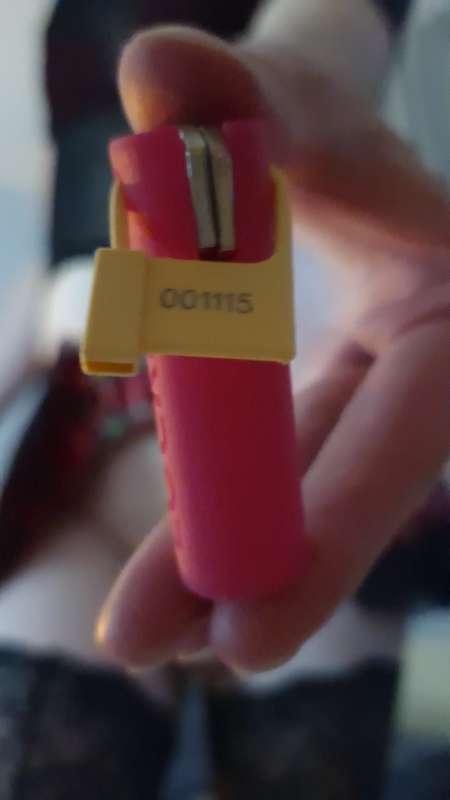 stephsis image #0