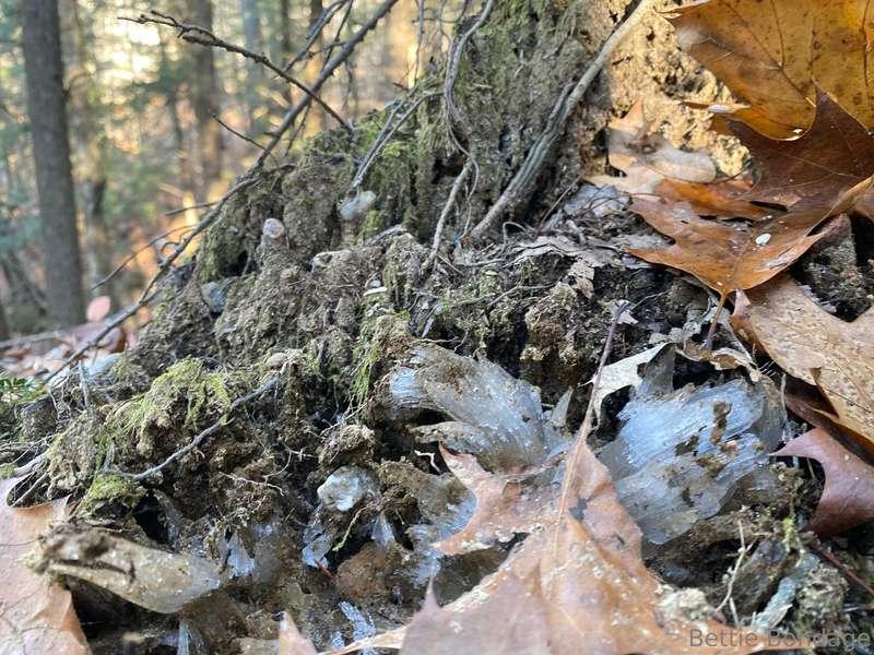 I hiked a ton last week, & more this week…  …I wonder if tha..