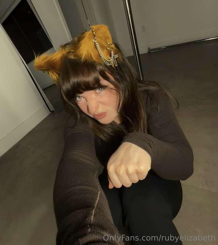 Too cute? Or just your type? 🐱