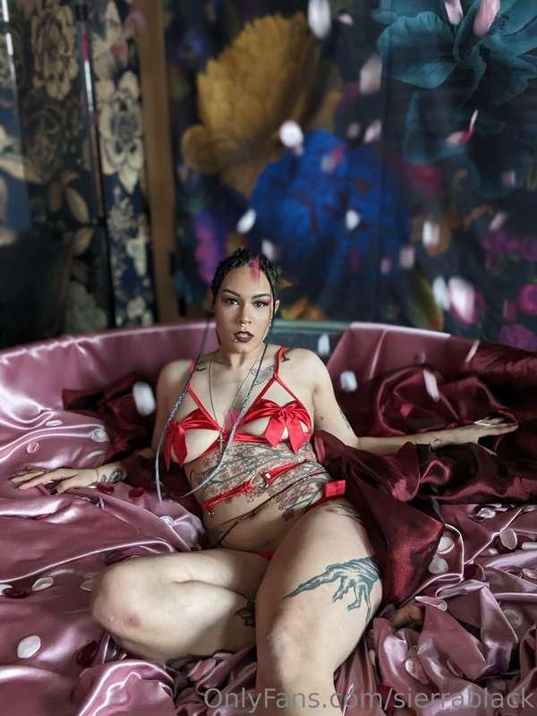 sierrablack image #4
