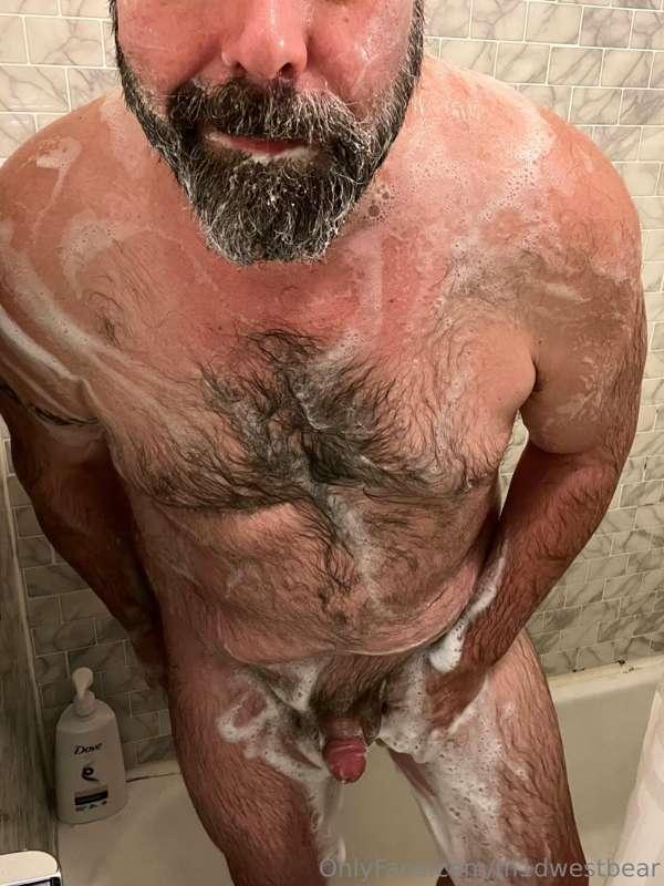 m1dwestbear image #3