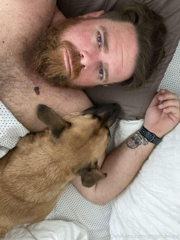 ginger.beard image #1