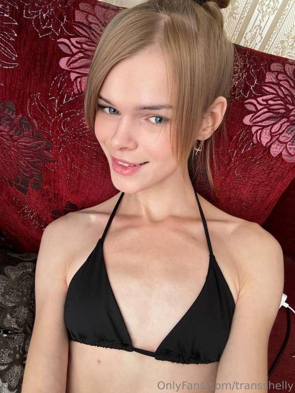 transshelly image #2