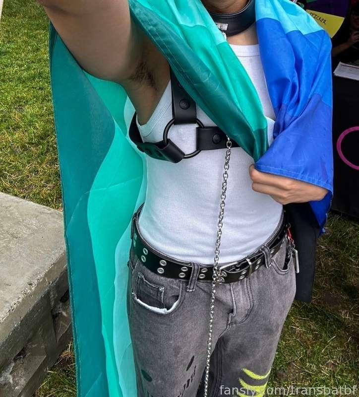 transbatbf image #23