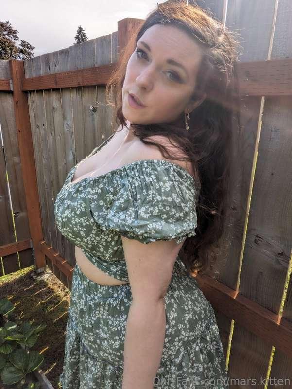 mars.kitten image #0