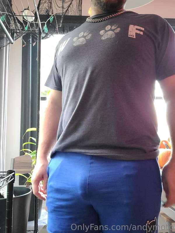 Wearing this jock all week. 
Also went for a walk, and got a..