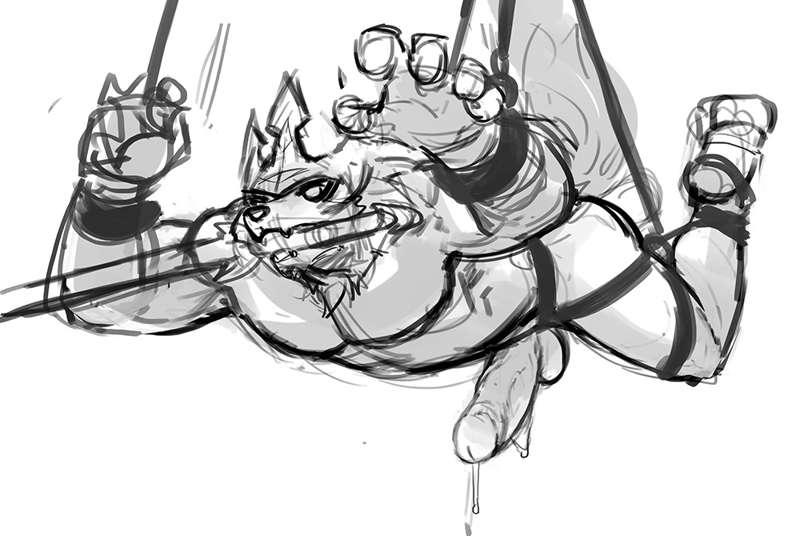 Zacian Tied