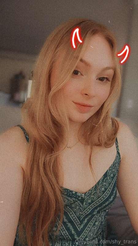 shy_trans image #0