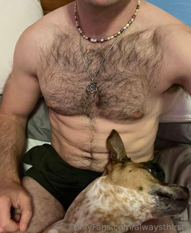 Two good boys looking for a snuggle 🥰