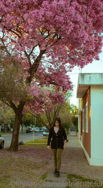 The wind brings spring and makes the days longer 🍃🌷☀️