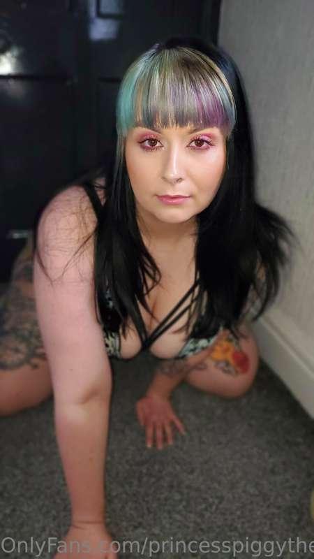 princesspiggythe1st image #10