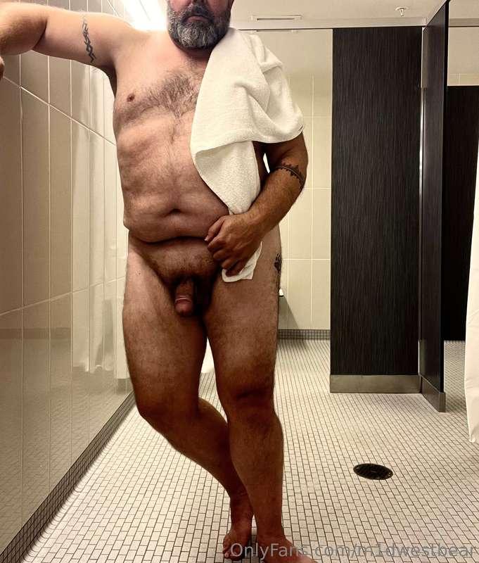 m1dwestbear image #1