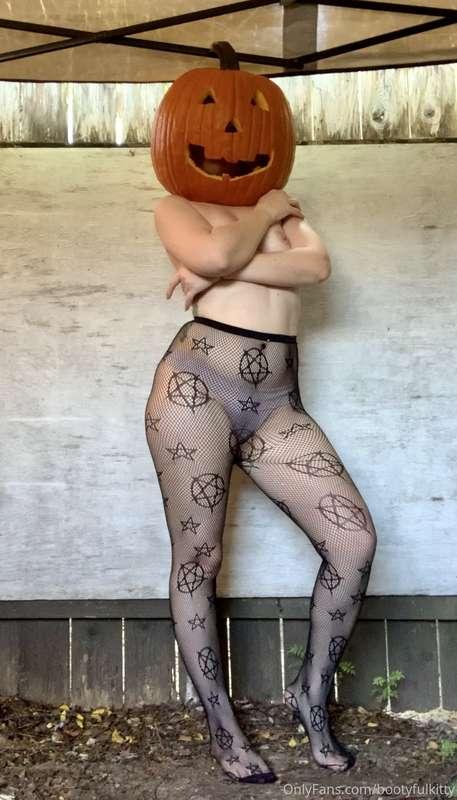 bootyfulkitty image #0