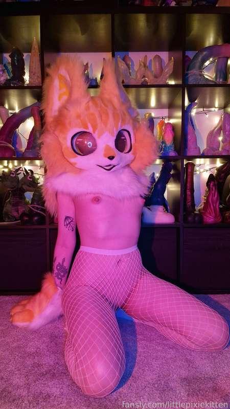 littlepixiekitten image #15