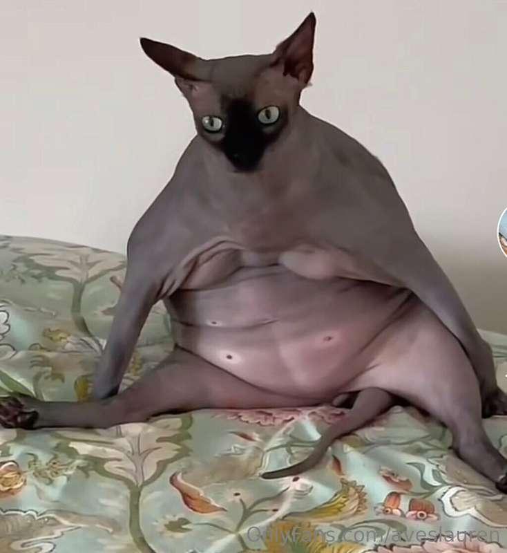 How I feel being 9 months pregnant, trying to look sexy to b..