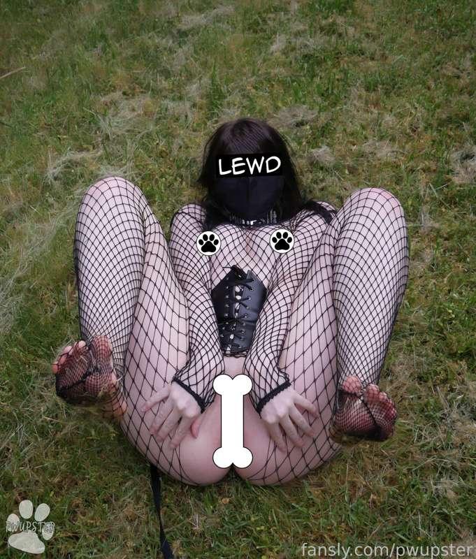 pwupster image #17