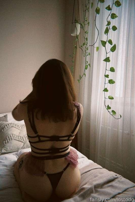lostodg image #6