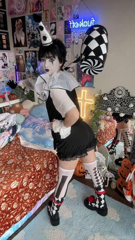 indigowhite image #45