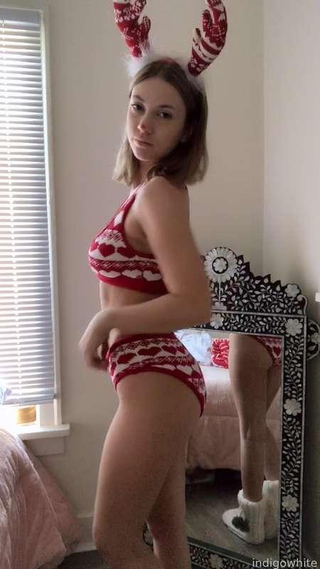 indigowhite image #252