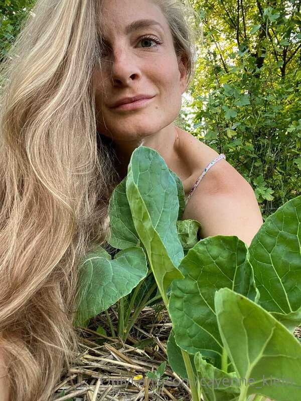 cayenne_klein_ image #4