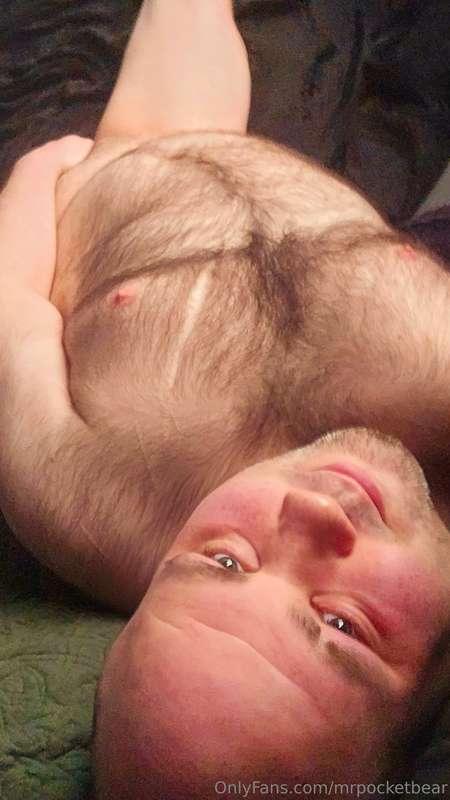 mrpocketbear image #4