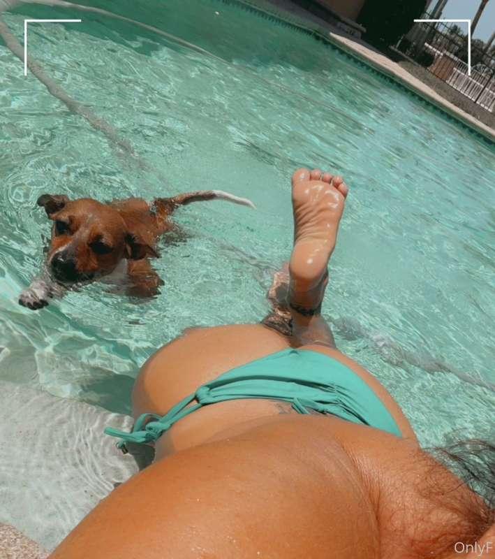 Can’t forget humpday