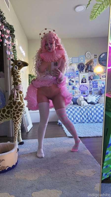 indigowhite image #155