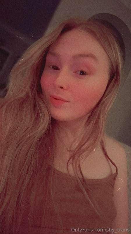 shy_trans main image