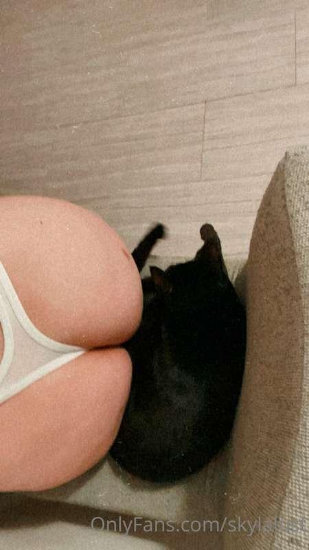 my kitty loves to steal my seat when I take a 💛💦 break 🙄😂

w..