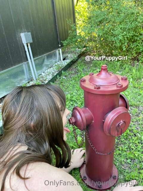 yourpuppygirl image #0