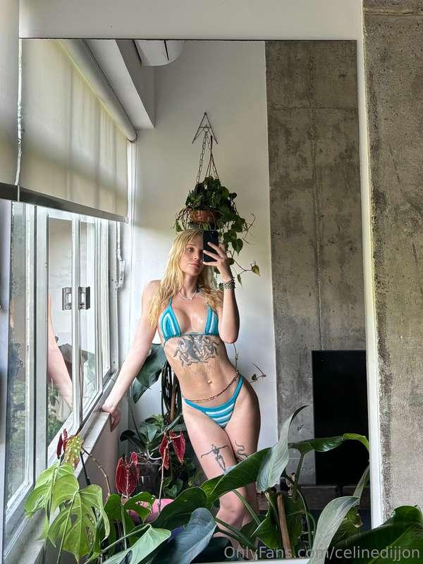 I realized today how much I love having plants.....