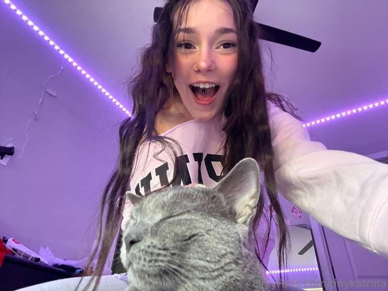 kitty kat 