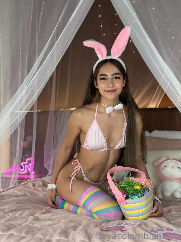 🐰 I kept loosing my 🥚👉