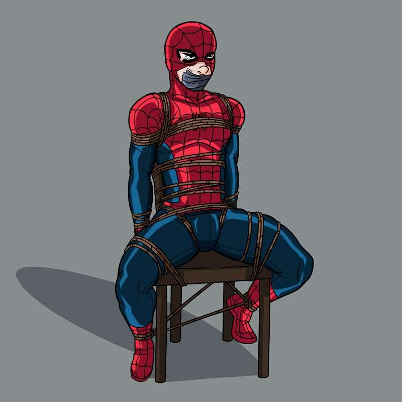 Spiderweb to catch spiders 