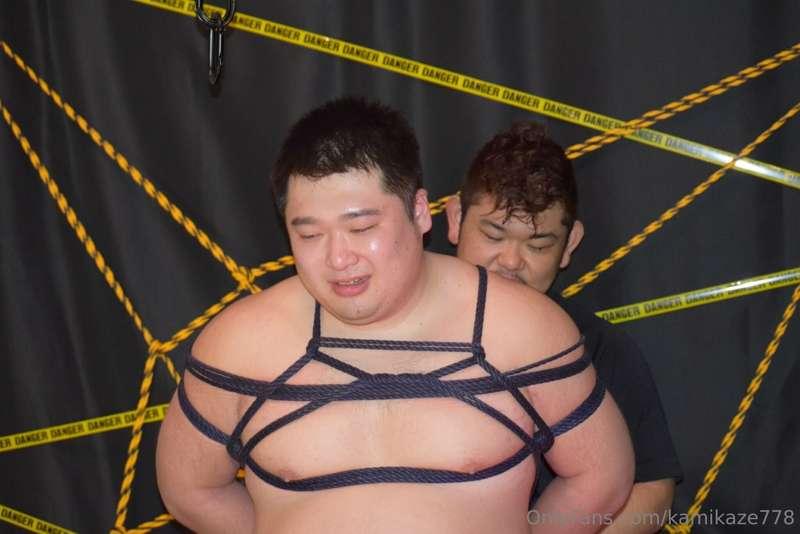 kamikaze778 image #3