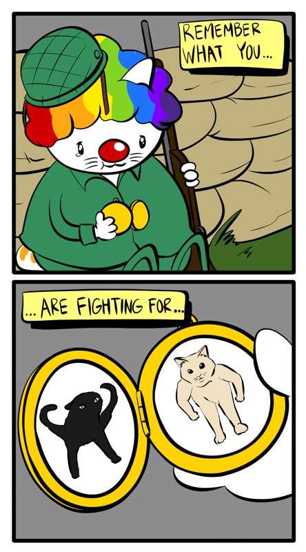 Bulkiestcat's Fight