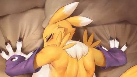 Renamon - ANIMATION