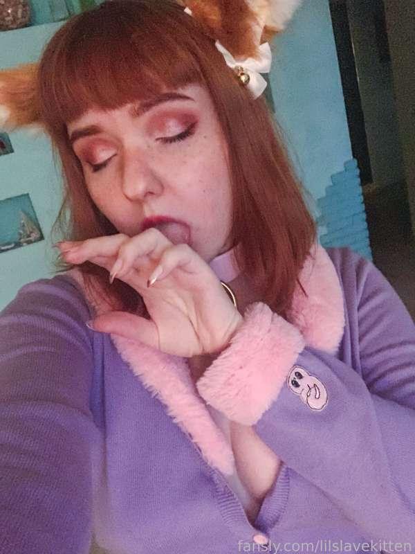 lilslvkitten image #1