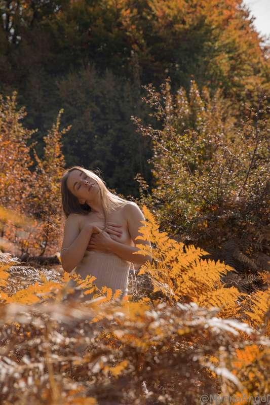 🍂