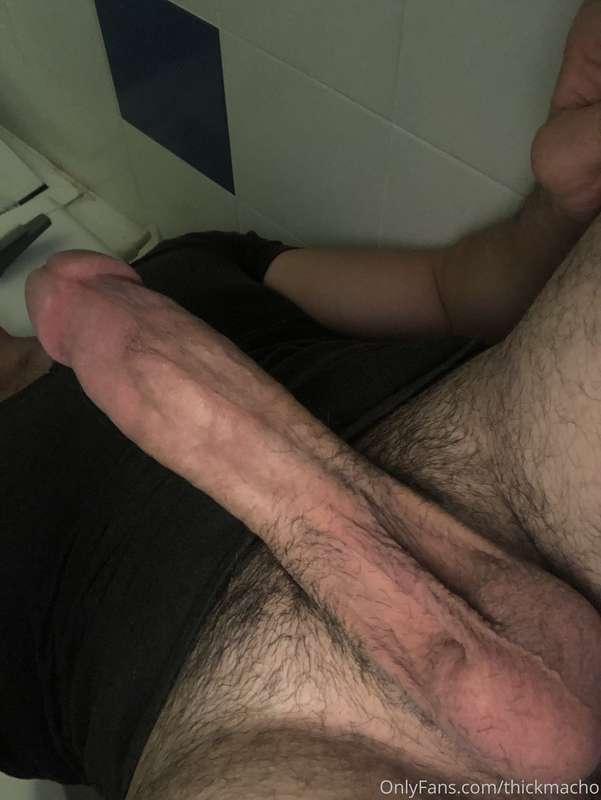Start worship this cock, right now.