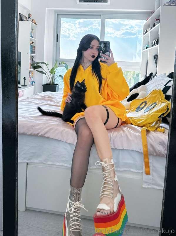 🌟🌟🌟