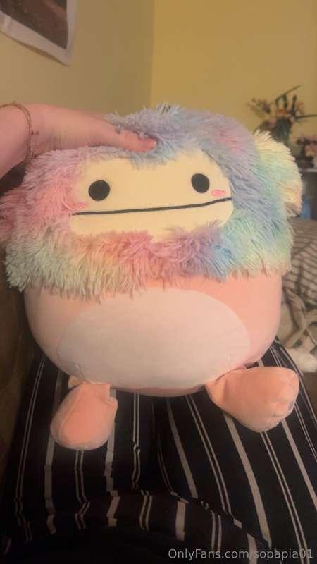 Wanted to show you my new squishmallow