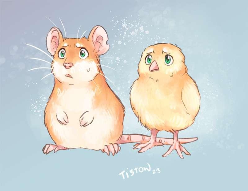 Small animals