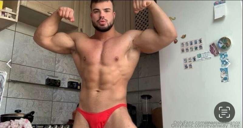 marcosgoianox image #1