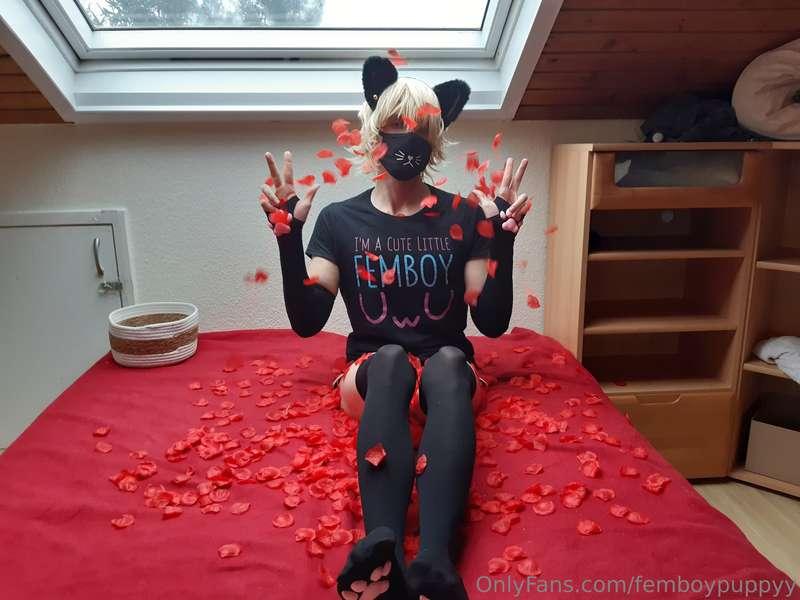 femboypuppyy image #2