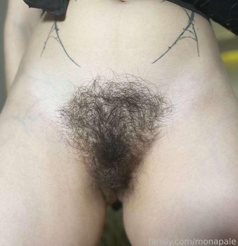 monapale image #12