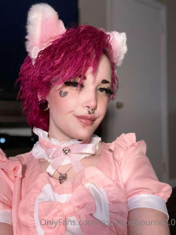 cat maid is here to serve and please you Senpai 🥺💖