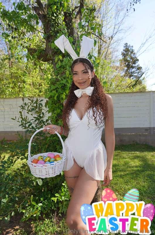 🐰🥕🐣
