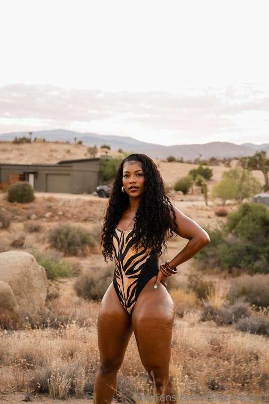 Meow 🐯